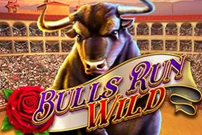 Bulls Run Wild